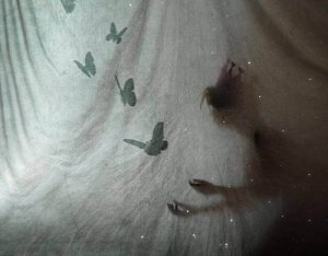 Glömskans land – 5 lärdomar vi förvisar dit