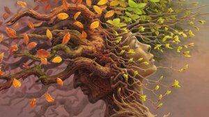 Den kognitiva reserven: ett steg i hjärnans evolution