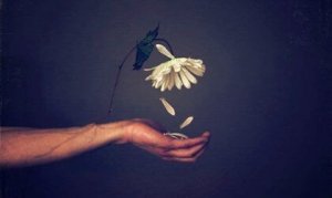 Förakt kan orsaka psykologisk skada