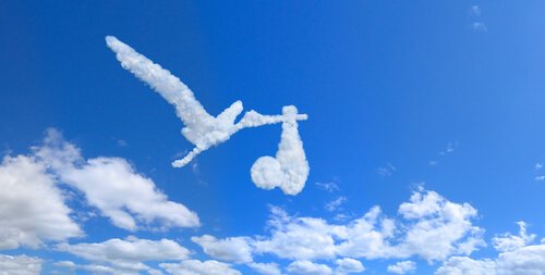 Moln i form av stork med bebis.