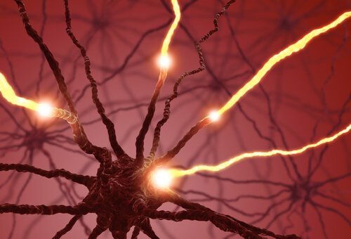 Elektriska impulser i neuroner