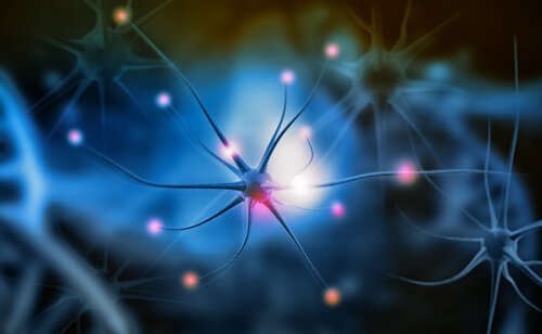 Vad är neurogenes och varför är det viktigt?