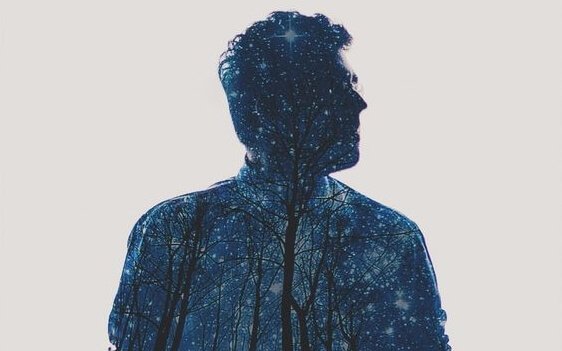 Siluett av man med träd och stjärnhimmel