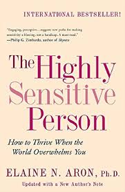 Den högkänsliga personen - en bok om introverta personligheter