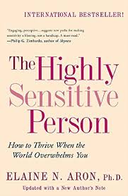 Den högkänsliga personen - en bok om introverta personligheter