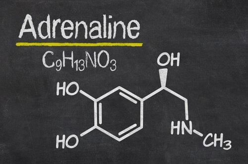 Adrenalinets struktur