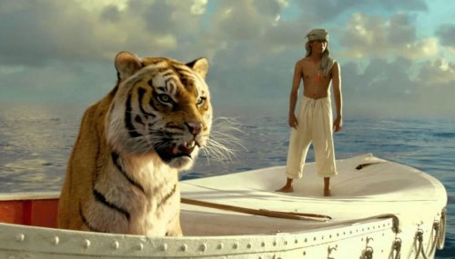 Tiger som sitter i en båt.