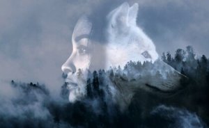 Om djärvhet och modet att ta risker