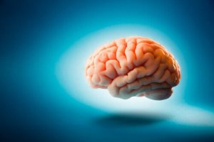 5 myter om hjärnan som du trodde var sanna