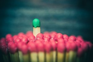 Social makt – definitioner och typer