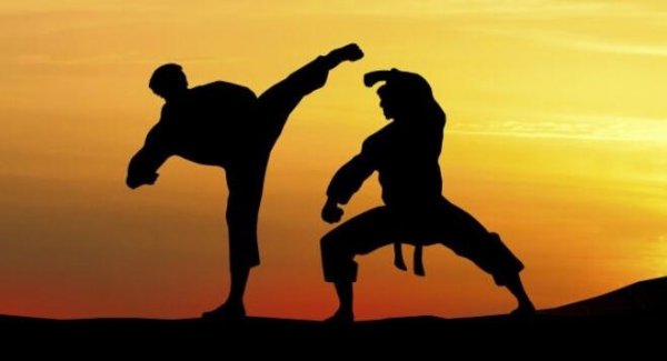 två karateutövare - kampsporter