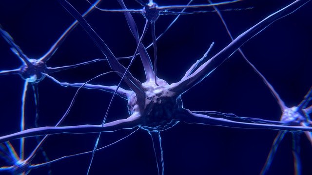 Neuroner i hjärnan: Vad är de och hur fungerar de?