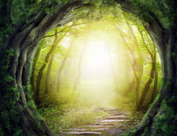 ljustunnel i skogen