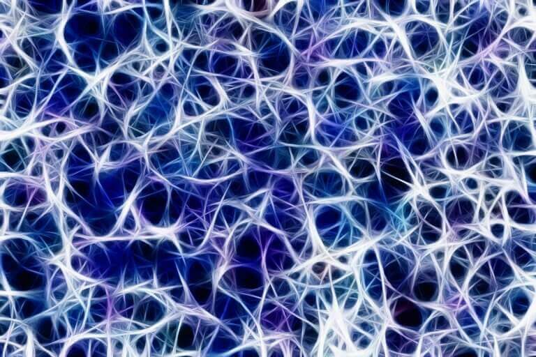 Nervceller i ryggraden