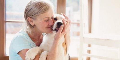 De många fördelarna med husdjursterapi