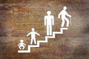 Eriksons stadier av den psykosociala utvecklingen