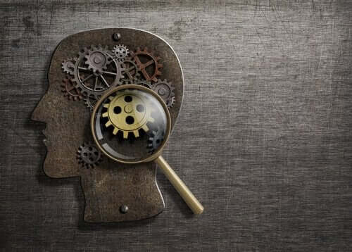 Hur hjärnan fungerar