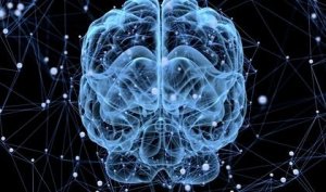 Sover hjärnan eller kopplar den bara bort?