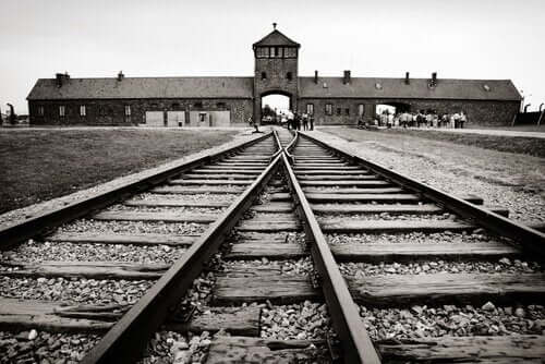 Auschwitz svartvit bild.