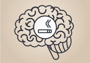 Fakta om hur nikotin påverkar hjärnan