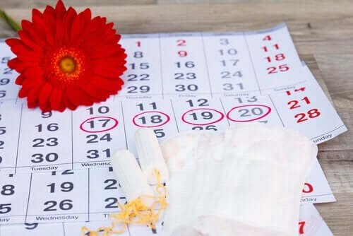 Kalender och blomma.