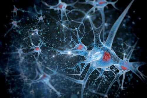 Undersökning av neuroner med forskningsmetoder inom biopsykologi