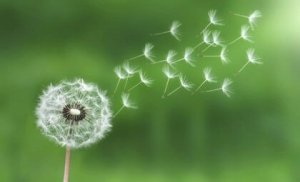 Använd lagen om minsta ansträngning mot stress