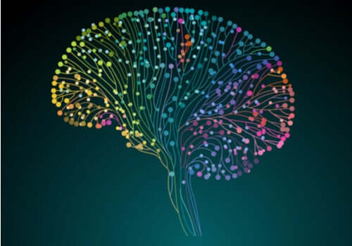 Human Connectome-projektet: att kartlägga hjärnan
