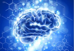 Kännetecknen hos och utvecklingen av neuroetik