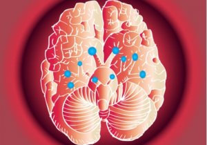 Våra fantastiska kranialnerver och hur de fungerar