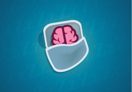 Vad som händer med våra neuroner då vi sover