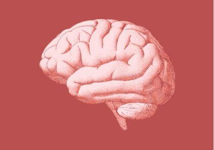 Röd bild av hjärnan.