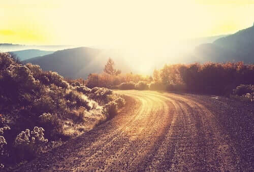 Väg vid solnedgång.