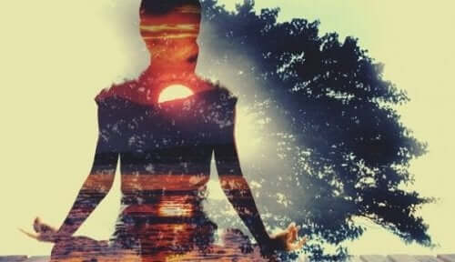 Träd och siluett av kvinna.