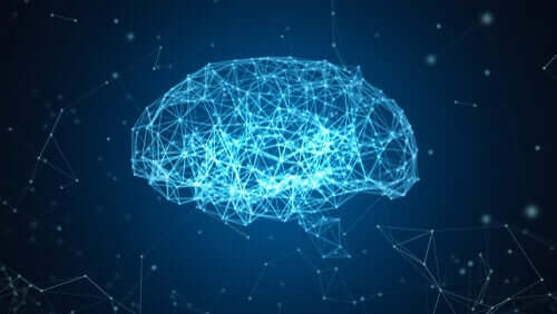 Blue Brain-projektet: en rekonstruktion av hjärnan