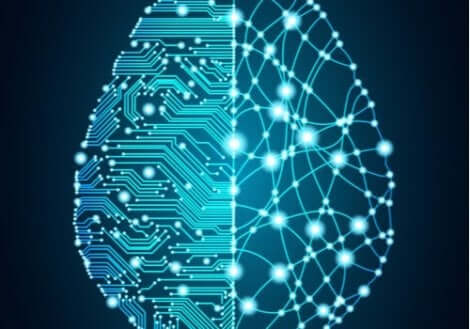 Kopplingarna i hjärnan