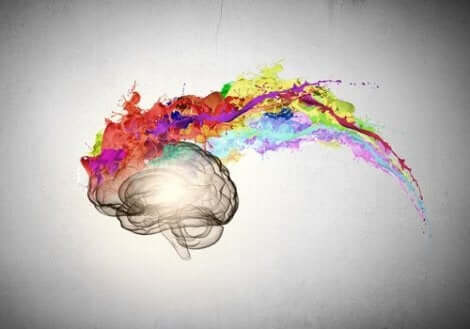 Hjärna med färger