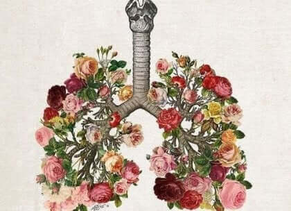 Blommor som lungor.