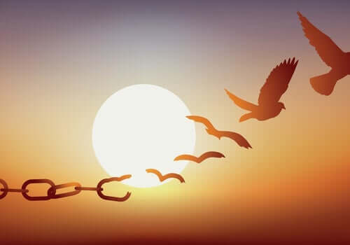 Vad är syftet med borgen i de länder som har detta?