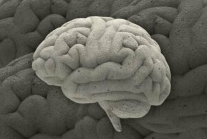 Tre fascinerande fall inom neurovetenskapen