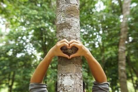 Hjärtformade händer på träd
