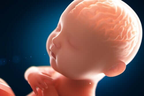 Sinnet hos en bebis – hur ser det ut?