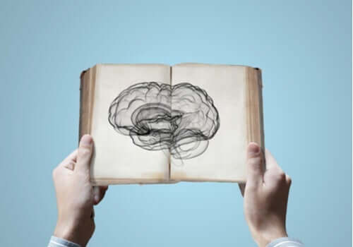 Neurovetenskap: går det att ärva kunskap?