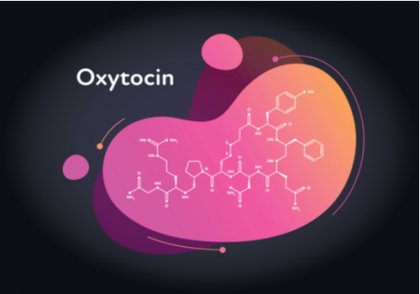 Oxytocin i hjärnan.
