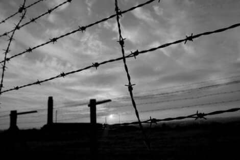 Taggtråd vid koncentrationsläger