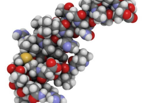 Orexinets påverkan på sömnen och matvanorna