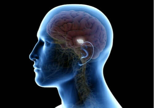 Mörk materia i hjärnan - att röra på sig och lära sig