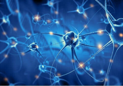Kroppen reparerar och nybildar nervceller