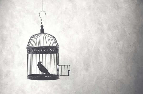 Fågel i bur