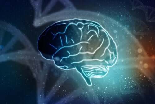 Neuropsykologi är inriktad på hjärnskador